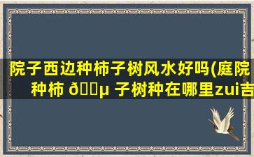 院子西边种柿子树风水好吗(庭院种柿 🐵 子树种在哪里zui
吉 🐺 利)